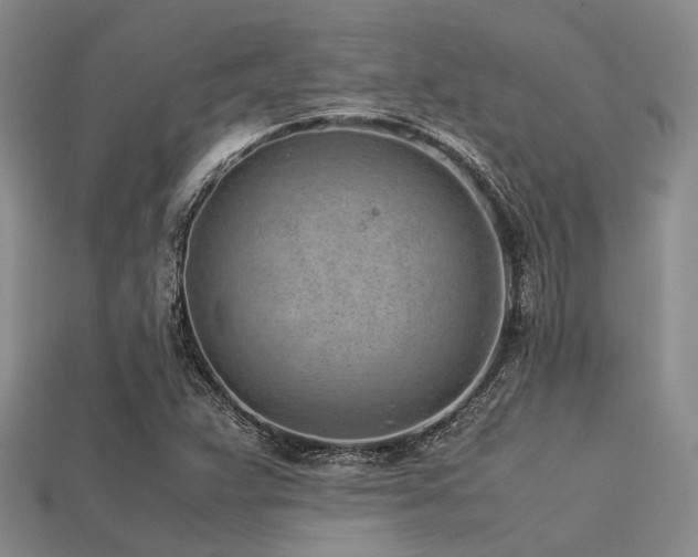 X0000113541359200909181148