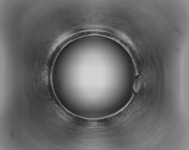 X0000113541360200909181148