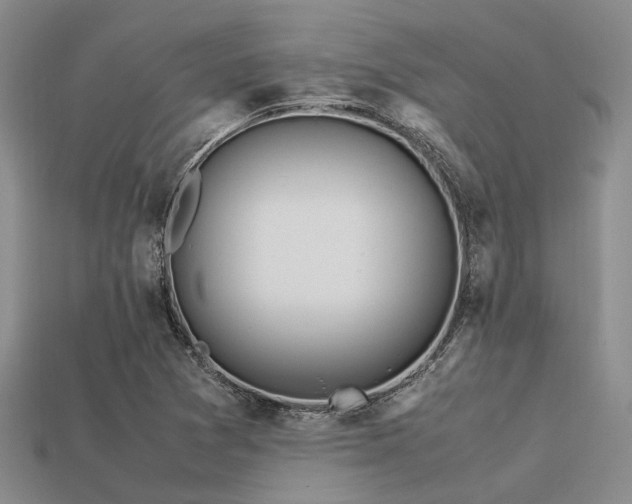 X0000113541361200909181148