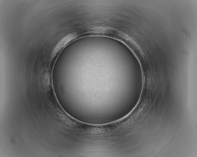 X0000113541362200909181148