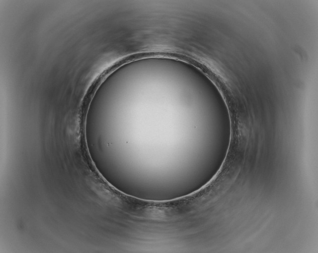 X0000113541364200909181148