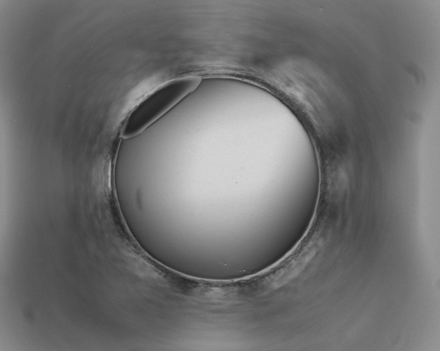 X0000113541365200909181148