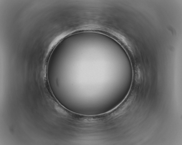 X0000113541366200909181148