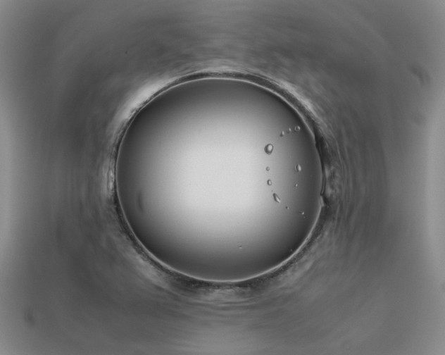 X0000113541367200909181148