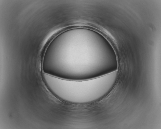 X0000113541368200909181148