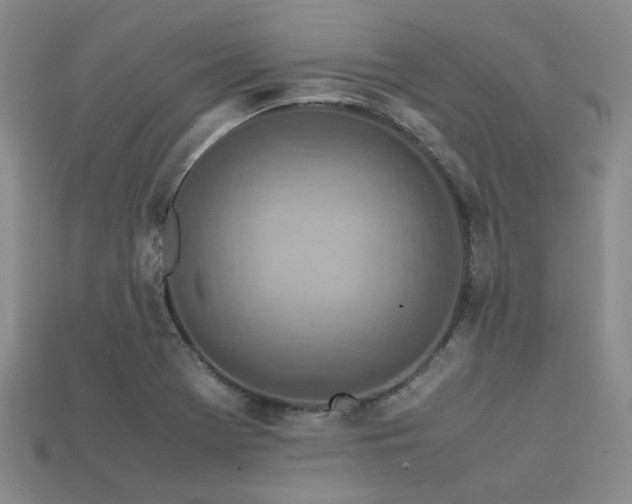 X0000113541369200909181148