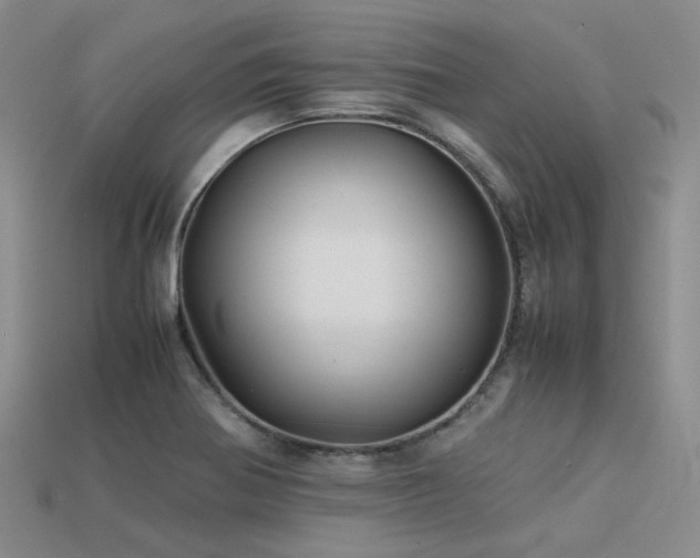 X0000113541370200909181148