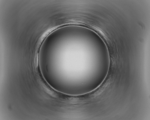X0000113541371200909181148