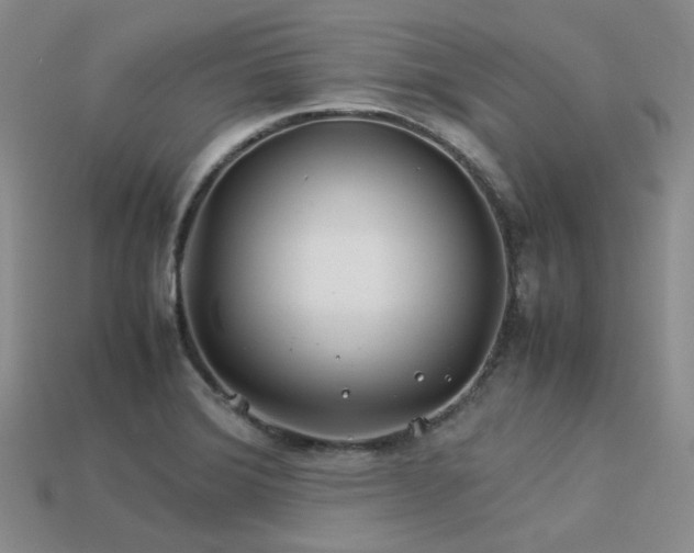 X0000113541372200909181148