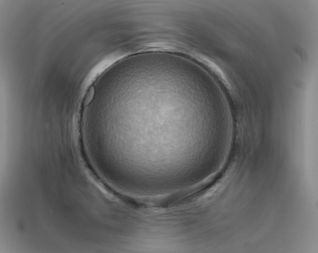 X0000113541373200909181148
