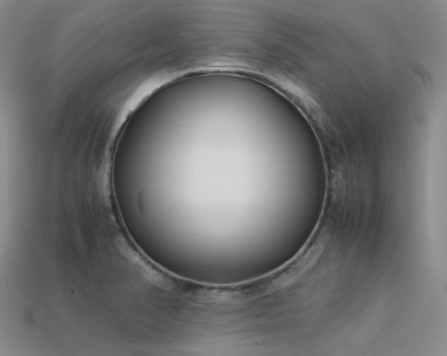X0000113541374200909181147