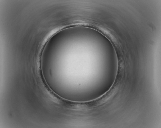 X0000113541375200909181147