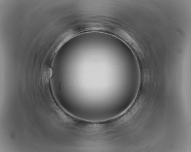 X0000113541377200909181147