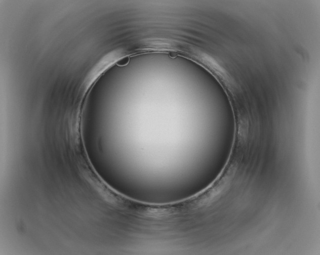 X0000113541378200909181147