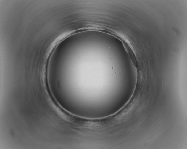 X0000113541379200909181147