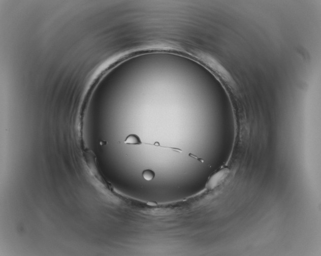 X0000113541380200909181147
