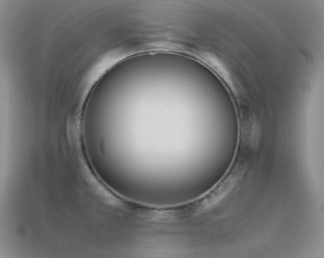 X0000113541381200909181147