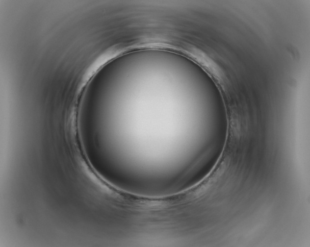 X0000113541382200909181147