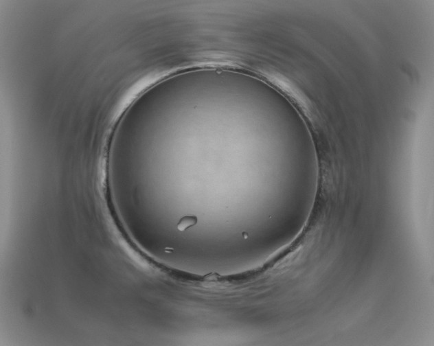 X0000113541383200909181147