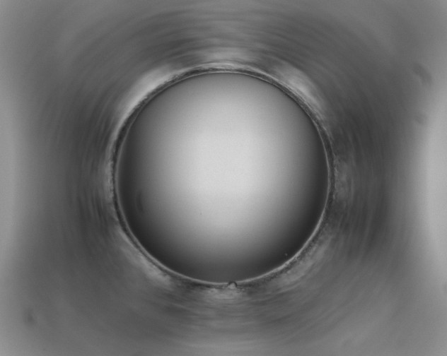 X0000113541384200909181147