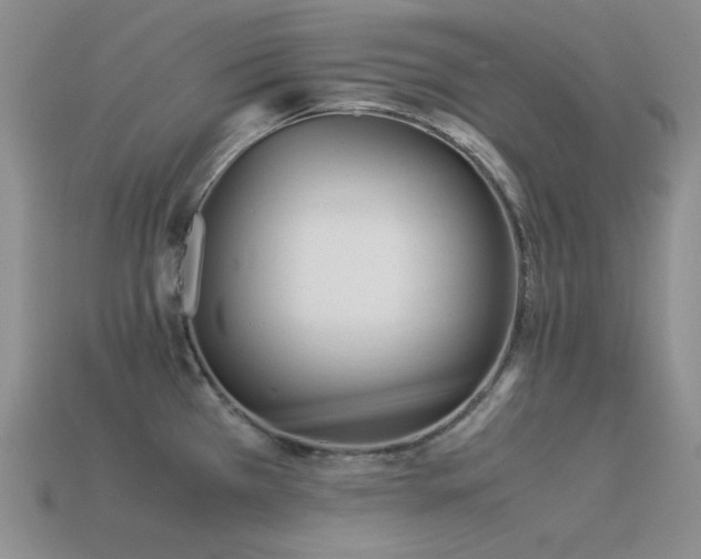 X0000113541385200909181147