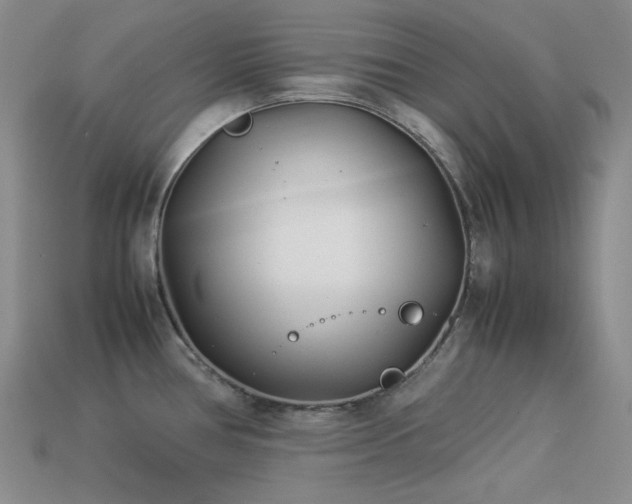 X0000113541386200909181147