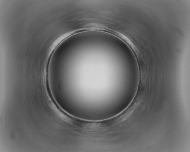 X0000113541387200909181147