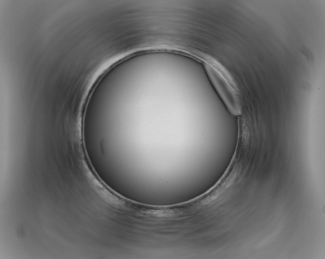 X0000113541388200909181147