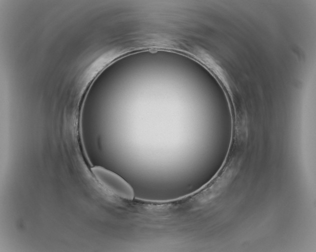 X0000113541389200909181147
