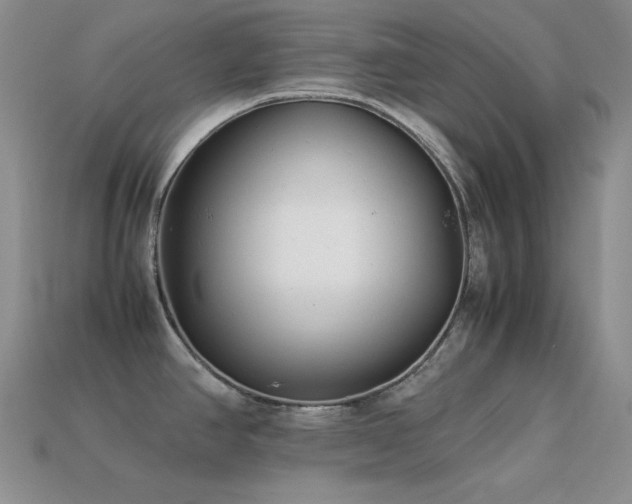 X0000113541390200909181147