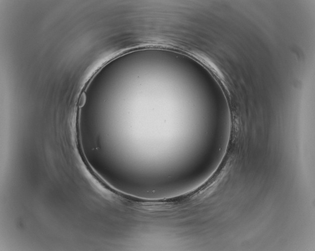 X0000113541391200909181147