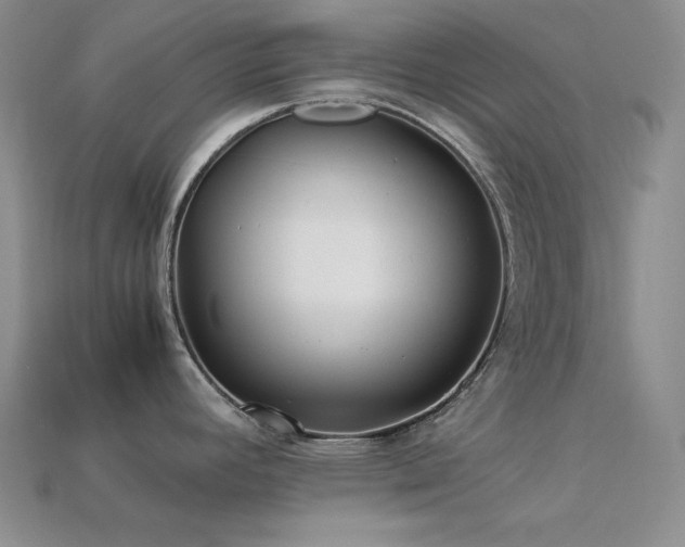 X0000113541392200909181147