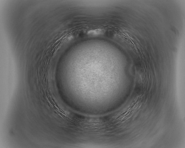 X0000113541393200909181147