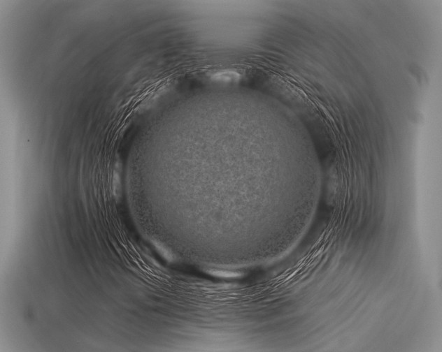 X0000113541394200909181147