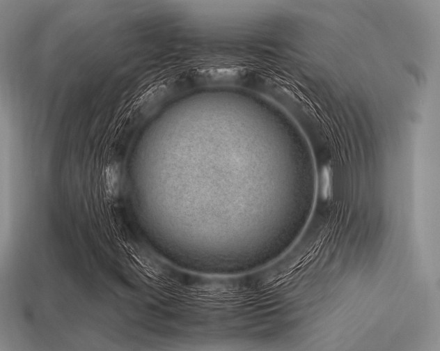 X0000113541395200909181147