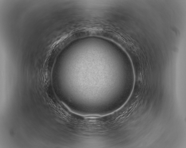X0000113541398200909181147