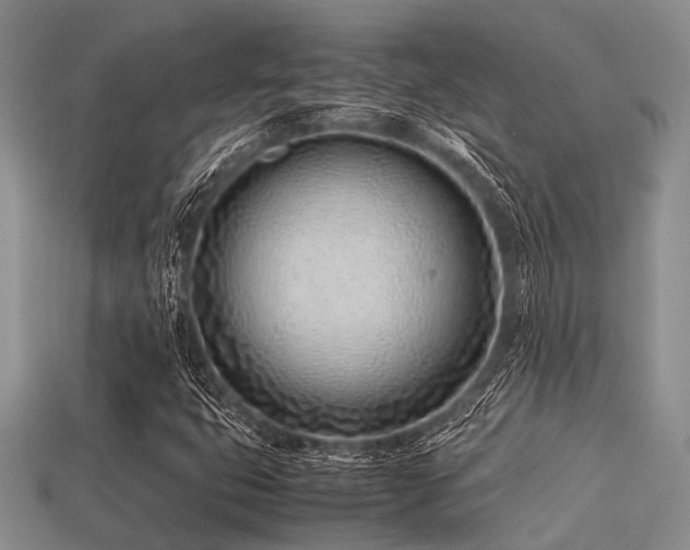 X0000113541399200909181147