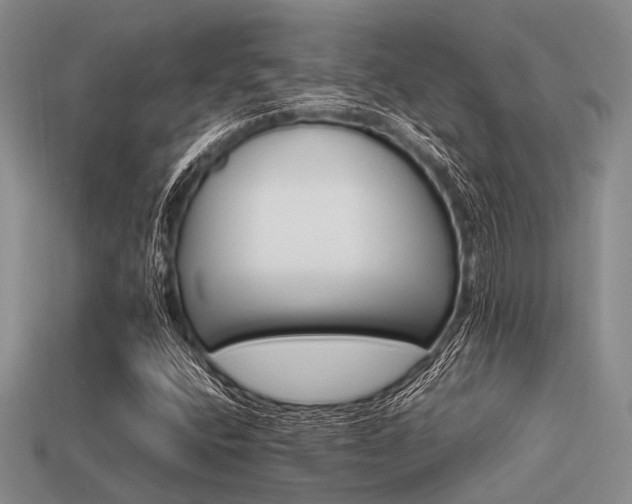X0000113541400200909181147