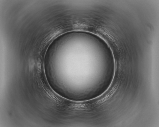 X0000113541401200909181147