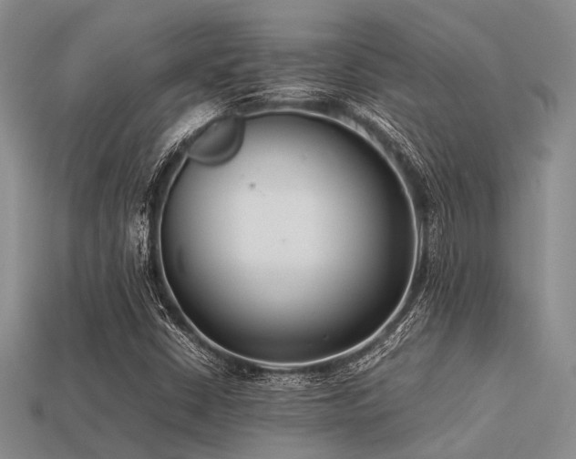 X0000113541402200909181147