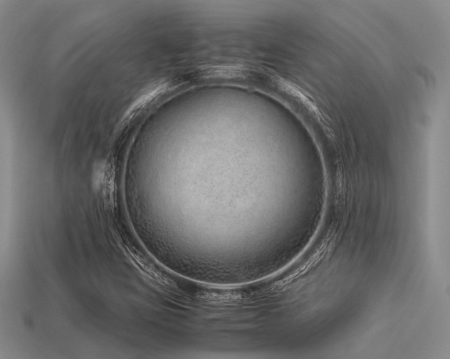 X0000113541403200909181147