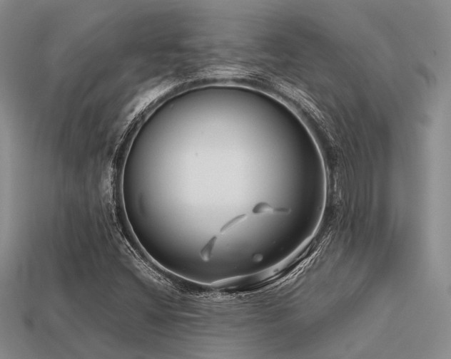 X0000113541404200909181147