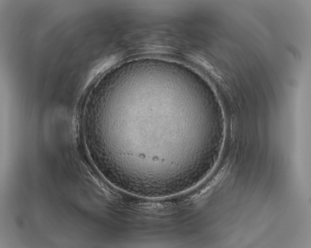 X0000113541405200909181147