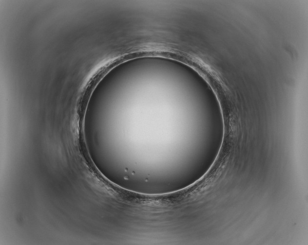 X0000113541408200909181147