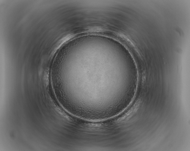 X0000113541409200909181147
