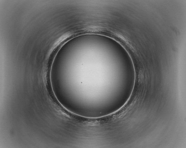 X0000113541410200909181147