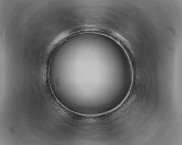 X0000113541411200909181147