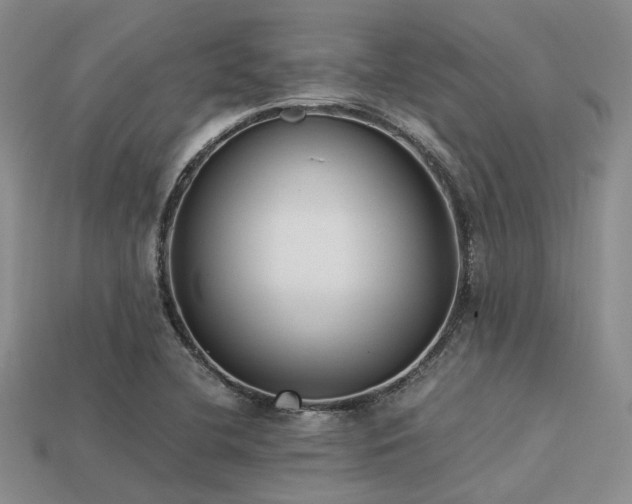 X0000113541412200909181147
