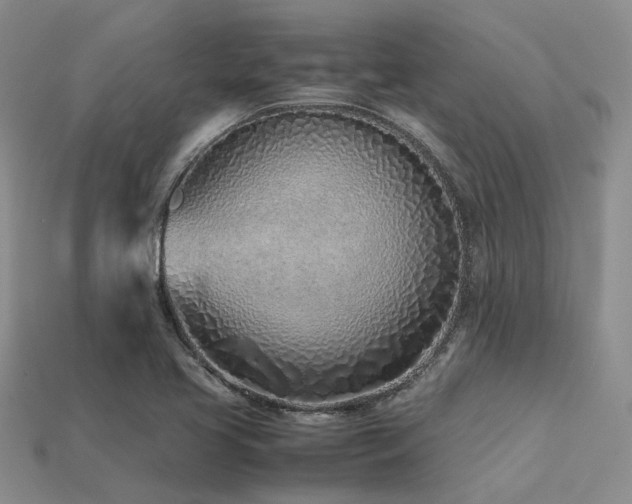 X0000113541413200909181147