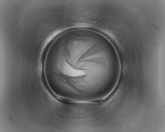 X0000113541414200909181147